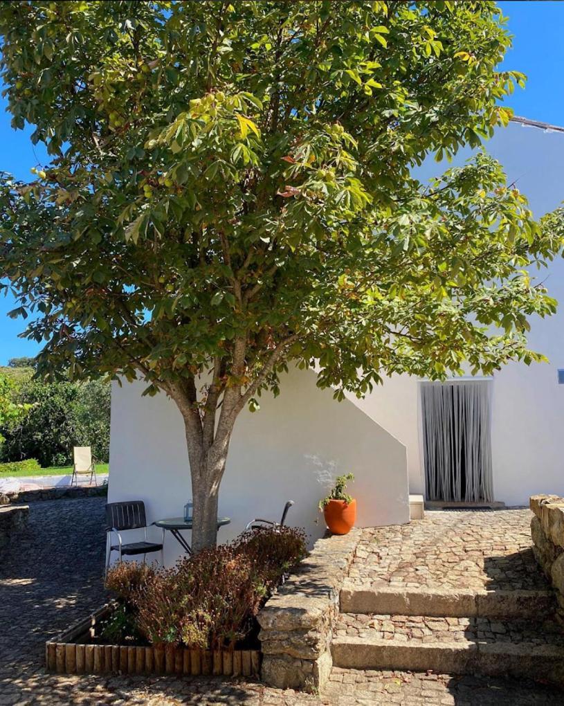 فيلا Quinta D'Abegoa Marvão المظهر الخارجي الصورة