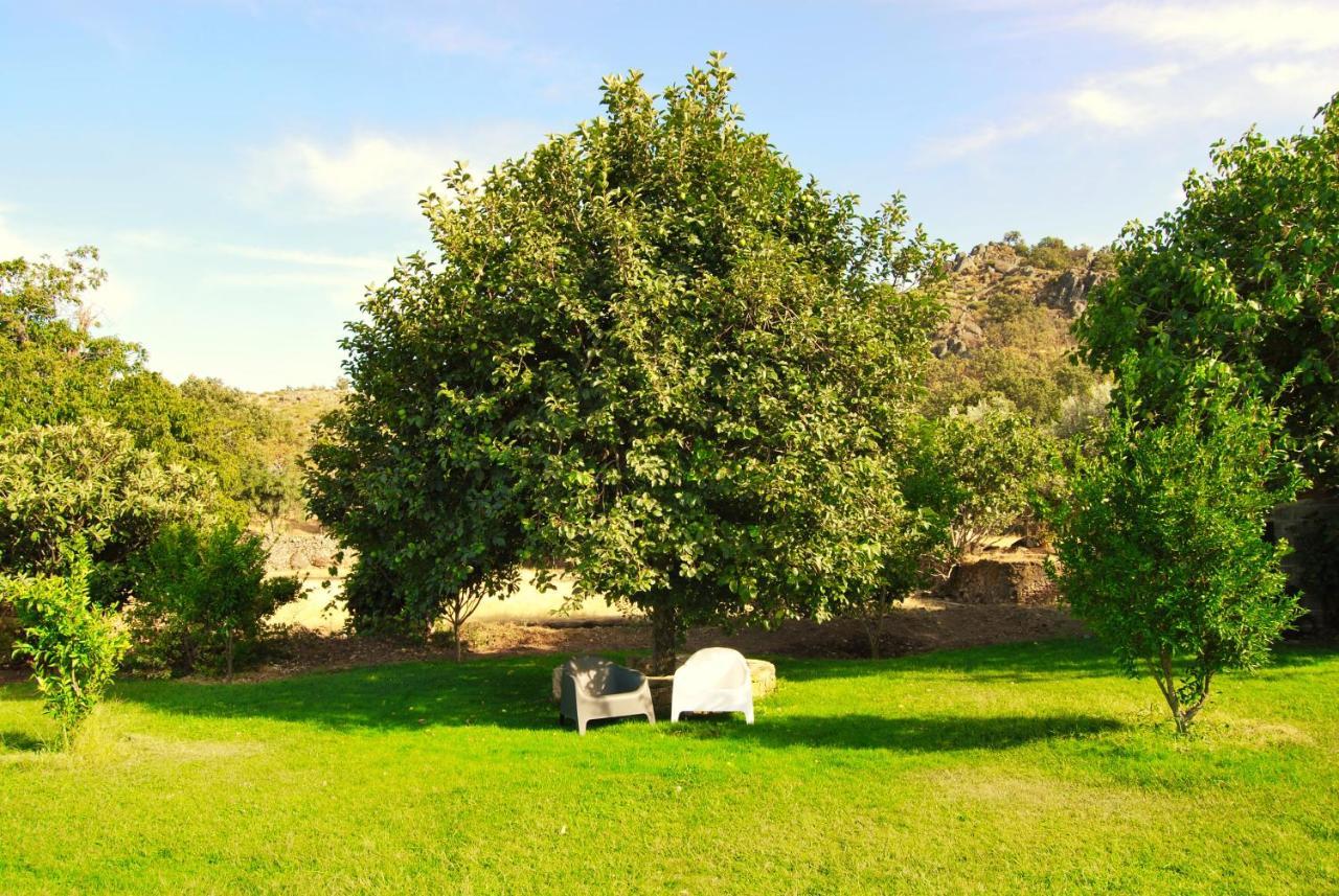 فيلا Quinta D'Abegoa Marvão المظهر الخارجي الصورة